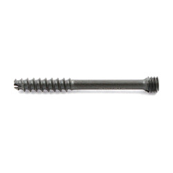 Vít Rỗng Nòng Đầu Chìm Ren Bán Phần (Hợp kim Titanium)