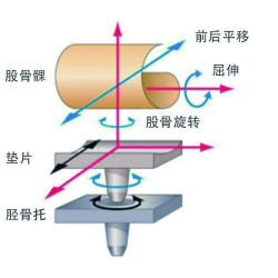 Lồi Cầu Đùi Khớp Gối Thay Lại GKRV CCK (Hợp Kim CoCrMo)