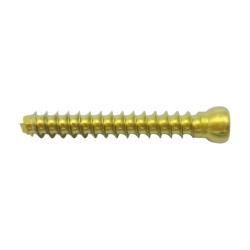 Vít Rỗng Nòng (Đầu Tròn) 3.5 (Hợp kim Titanium)