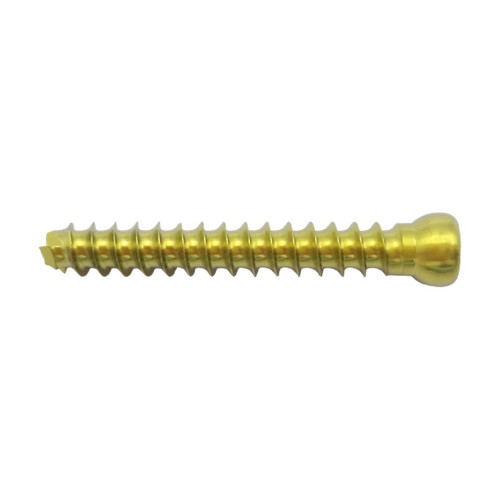 Vít Rỗng Nòng (Đầu Tròn) 3.5 (Hợp kim Titanium) Vít Rỗng Nòng (Đầu Tròn) 3.5 (Hợp kim Titanium)
