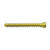 Vít Rỗng Nòng (đầu tròn) 4.5 (Titanium)