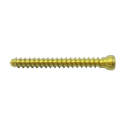 Vít Rỗng Nòng (Đầu Tròn) 4.5 (Hợp kim Titanium)