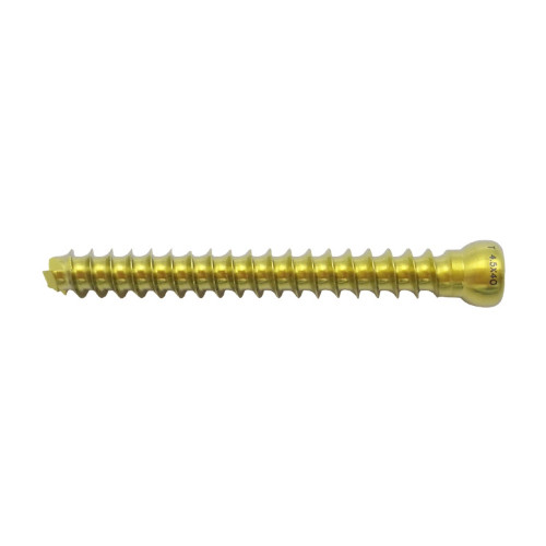 Vít Rỗng Nòng (đầu tròn) 4.5 (Titanium)