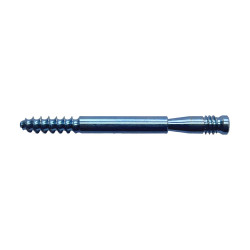 Vít Nén Ép (Lag Bolt) (Hợp kim Titanium)