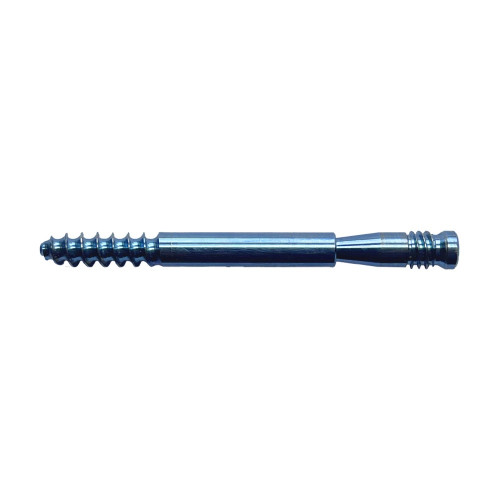 Vít Nén Ép (Lag Bolt) (Hợp kim Titanium)