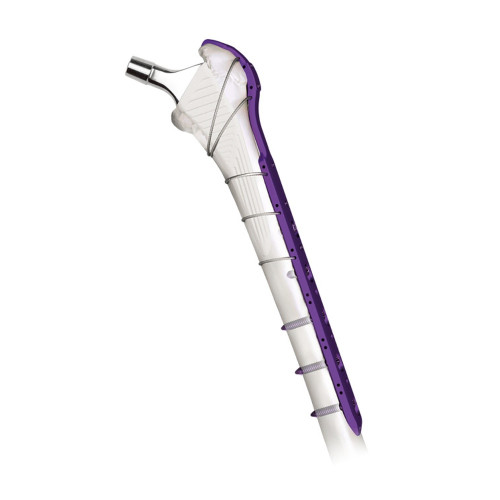 Nẹp Khóa Quanh Khớp Nhân Tạo Đầu Gần Xương Đùi (Hợp kim Titanium) Nẹp Khóa Quanh Khớp Nhân Tạo Đầu Gần Xương Đùi (Hợp kim Titanium)