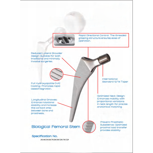 Bộ Khớp Háng Nhân Tạo Sinh Học (Biological Hip Joint Set - Không xi măng) Bộ Khớp Háng Nhân Tạo Sinh Học (Biological Hip Joint Set - Không xi măng)