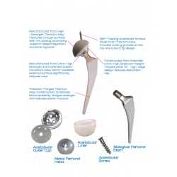 Bộ Khớp Háng Nhân Tạo Sinh Học (Biological Hip Joint Set - Không xi măng)