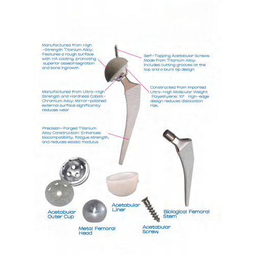 Bộ Khớp Háng Nhân Tạo Sinh Học (Biological Hip Joint Set - Không xi măng) Bộ Khớp Háng Nhân Tạo Sinh Học (Biological Hip Joint Set - Không xi măng)