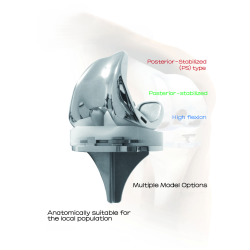 Bộ Khớp Gối Nhân Tạo (Knee Joint Prosthesis Set - Loại có xi măng)
