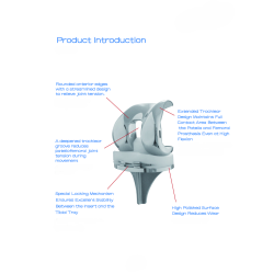 Bộ Khớp Gối Nhân Tạo (Knee Joint Prosthesis Set - Loại có xi măng)