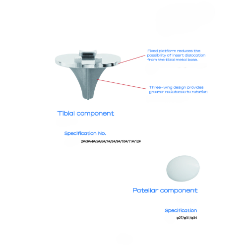 Bộ Khớp Gối Nhân Tạo (Knee Joint Prosthesis Set - Loại có xi măng) Bộ Khớp Gối Nhân Tạo (Knee Joint Prosthesis Set - Loại có xi măng)