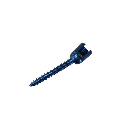 Ốc Vít Cố Định Cột Sống Bên Trong, Cấy Ghép Cột Sống, Loại U-Multi-Axial Có Thể Tháo Rời, Tùy Chỉnh