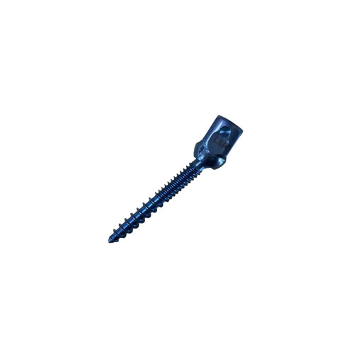 Ốc Vít Cố Định Cột Sống Bên Trong, Cấy Ghép Cột Sống, Loại U-Multi-Axial Có Thể Tháo Rời, Tùy Chỉnh