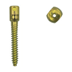 Vít Cuống Sống Đơn Diện Rỗng Nòng Premier (Hợp kim Titanium)