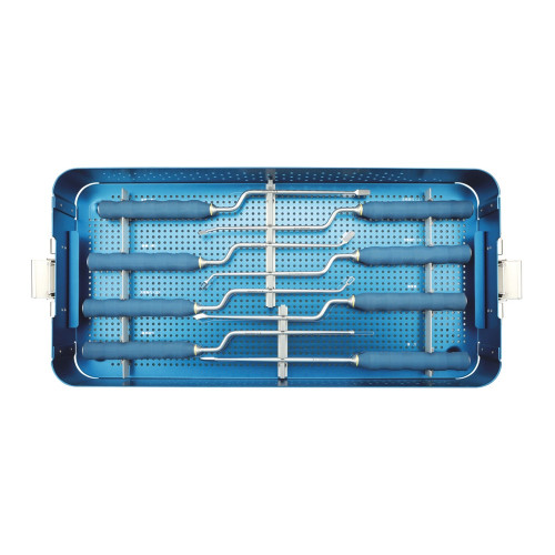 Lồng Liên Thân Đốt Thắt Lưng Qua Lỗ Liên Hợp Lối Sau Transtone (PEEK)